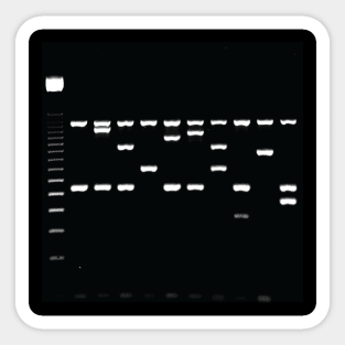 Gel Electrophoresis Fun Sticker